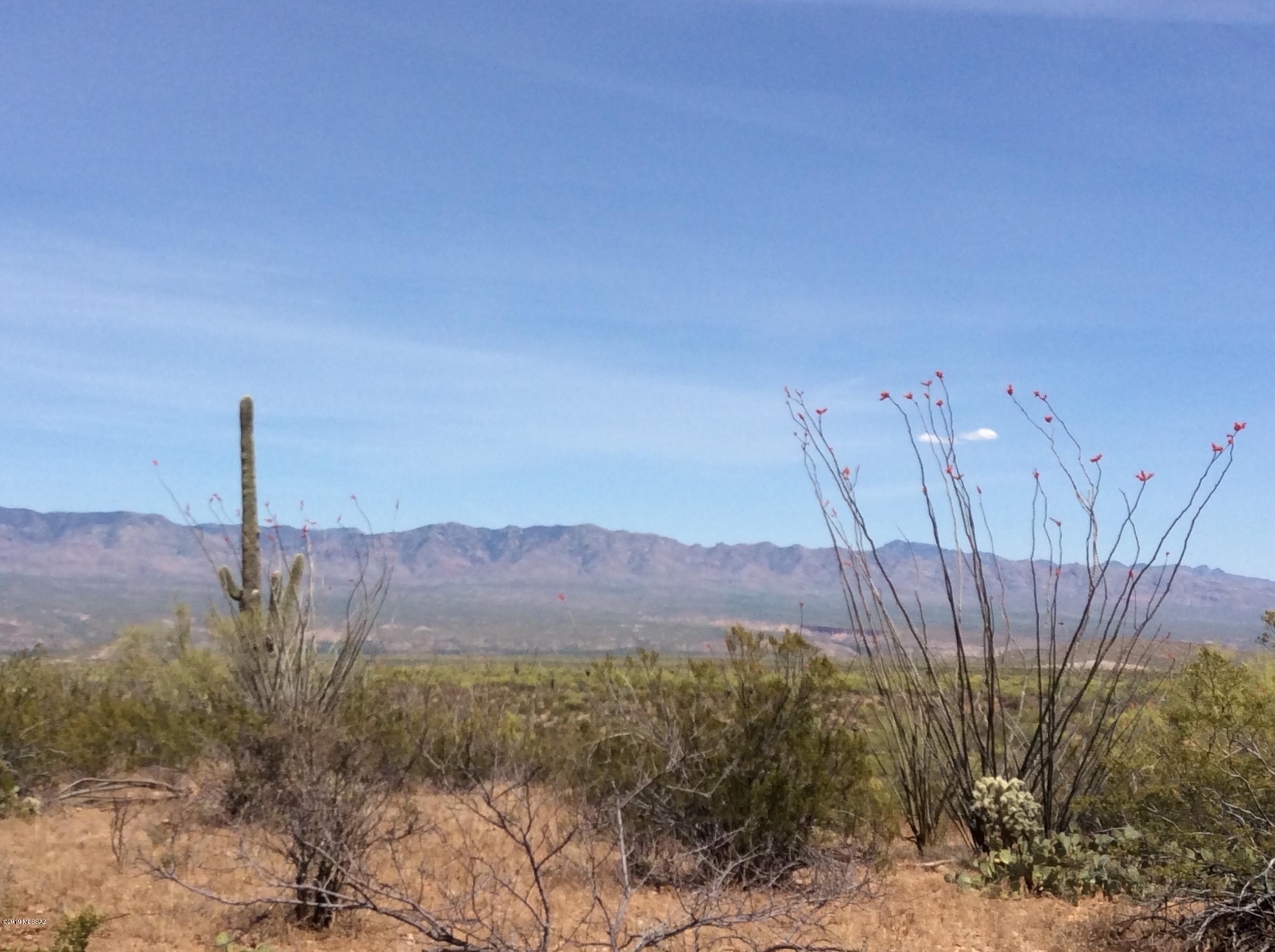Peppersauce Mine Road San Manuel, AZ 85631 - Photo 30 of 33