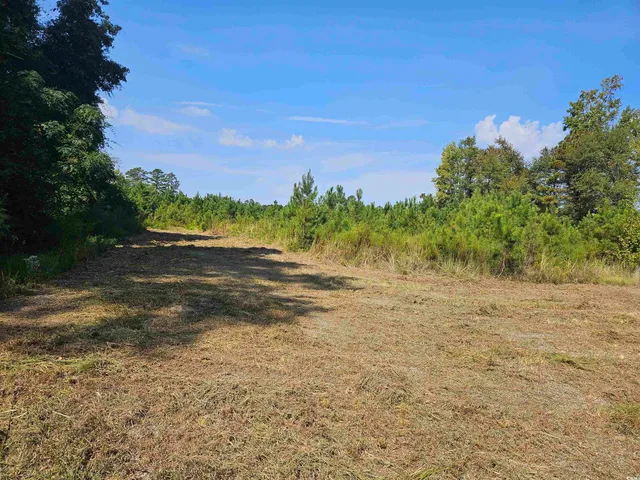 $545,000 | 109-acres - Tbd 109-acres - Tbd Trifalia Road, Scranton, SC 29591