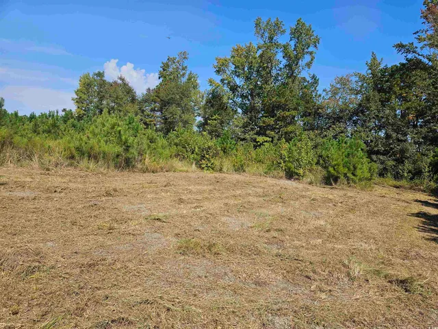 $545,000 | 109-acres - Tbd 109-acres - Tbd Trifalia Road, Scranton, SC 29591