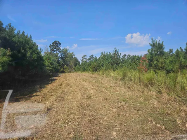 $545,000 | 109-acres - Tbd 109-acres - Tbd Trifalia Road, Scranton, SC 29591