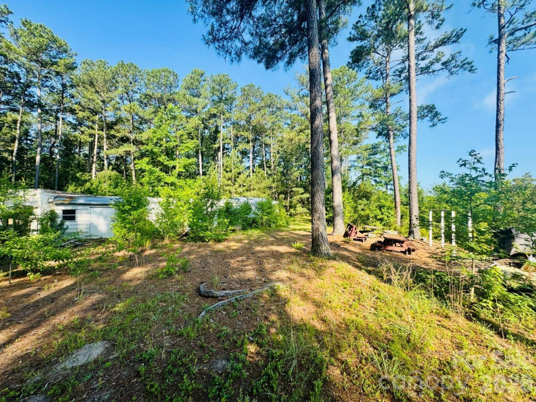 5326 Judson Road Clio, SC 29525 - Photo 16 of 29