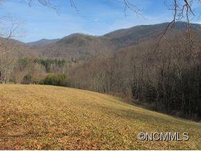 158 Howell Cove Road Canton, NC 28716 - Photo 13 of 14 a view of a field