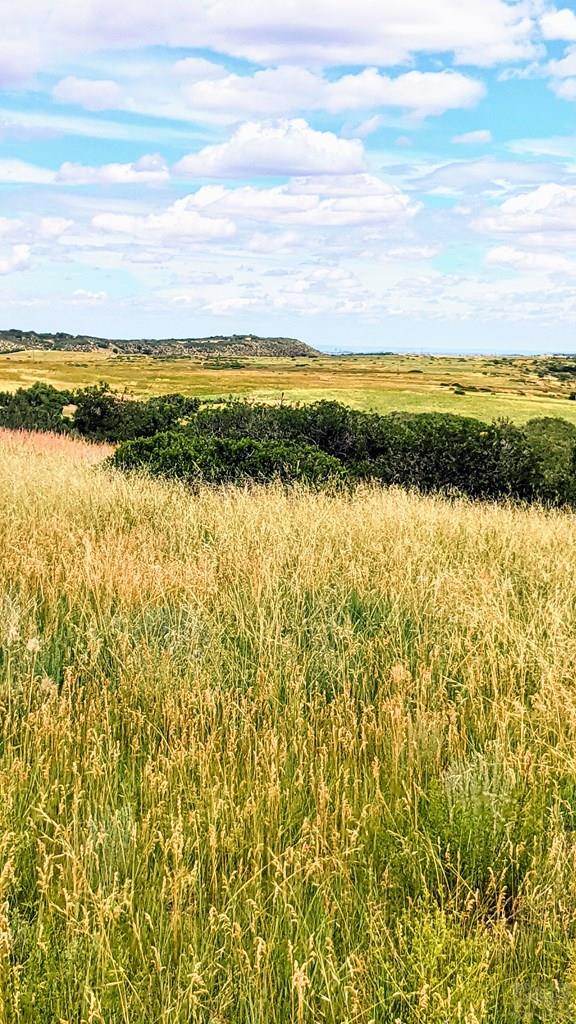 Tbd Tbd Piegans Rye, CO 81069 - Photo 6 of 23
