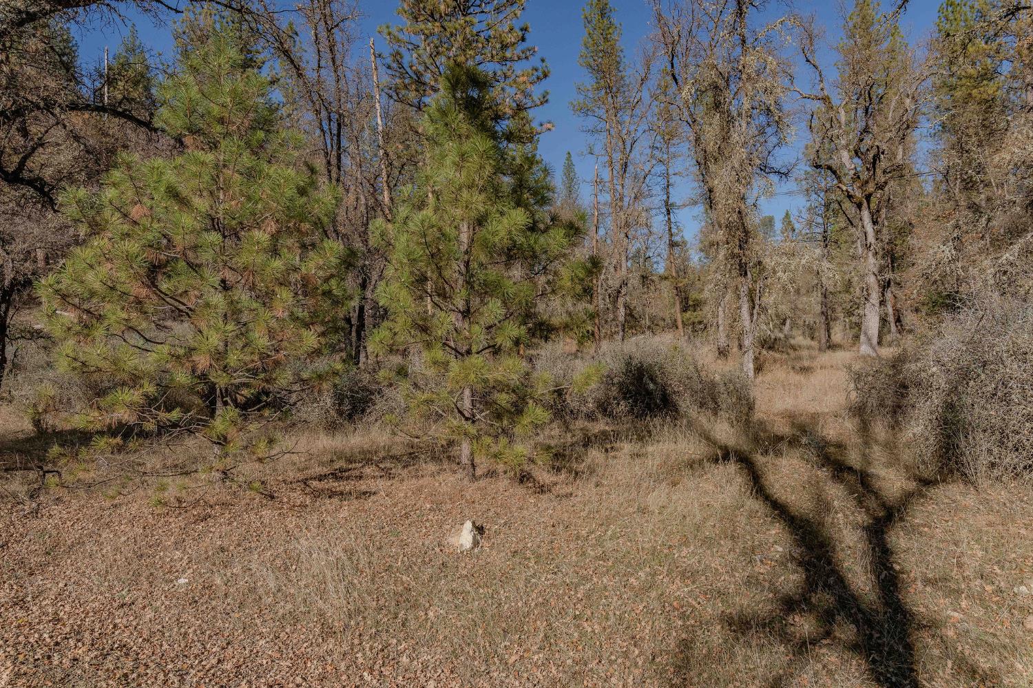 3035 Wharregard Road Rail Road Flat, CA 95245 - Photo 19 of 40