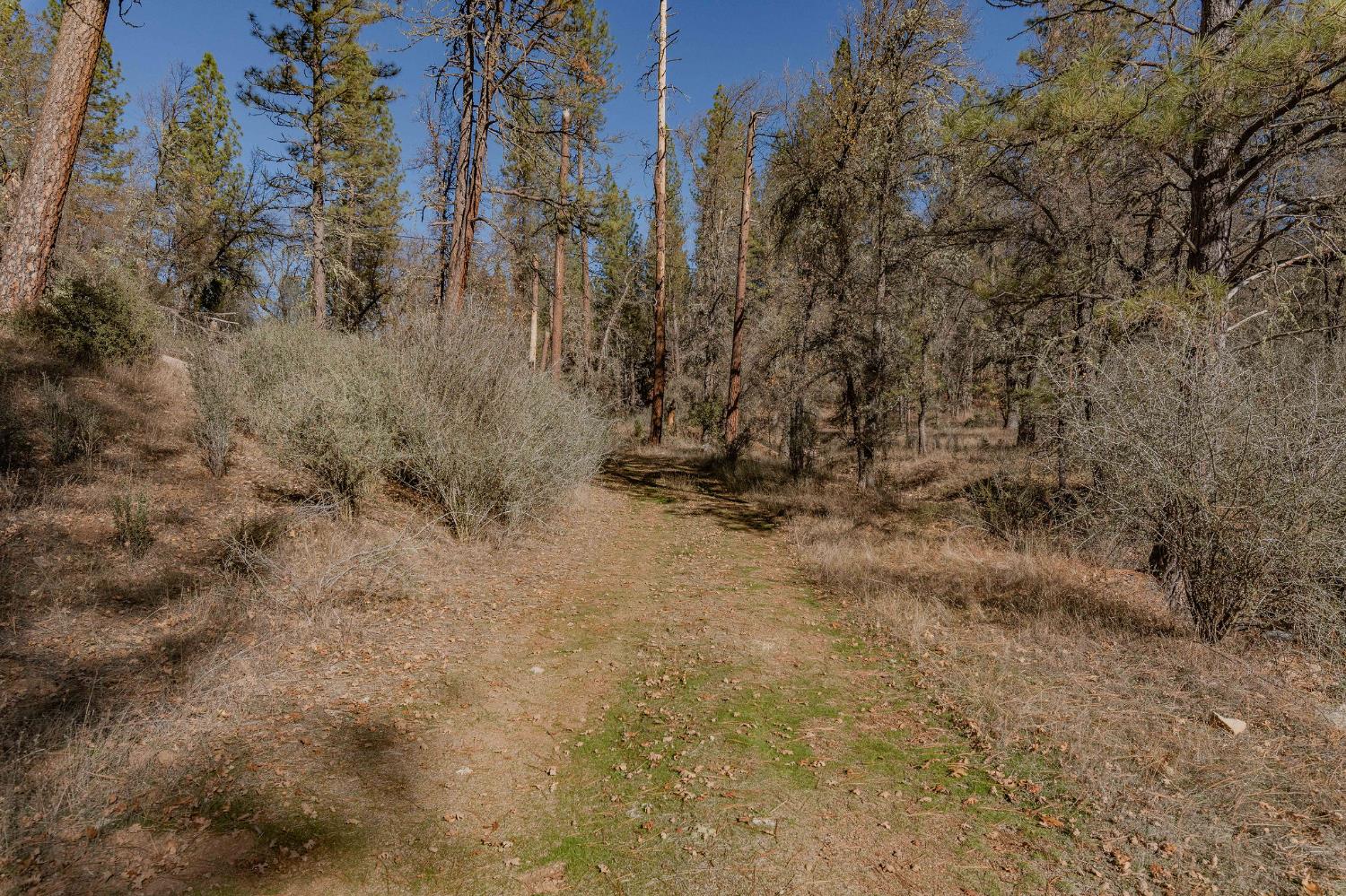 3035 Wharregard Road Rail Road Flat, CA 95245 - Photo 20 of 40