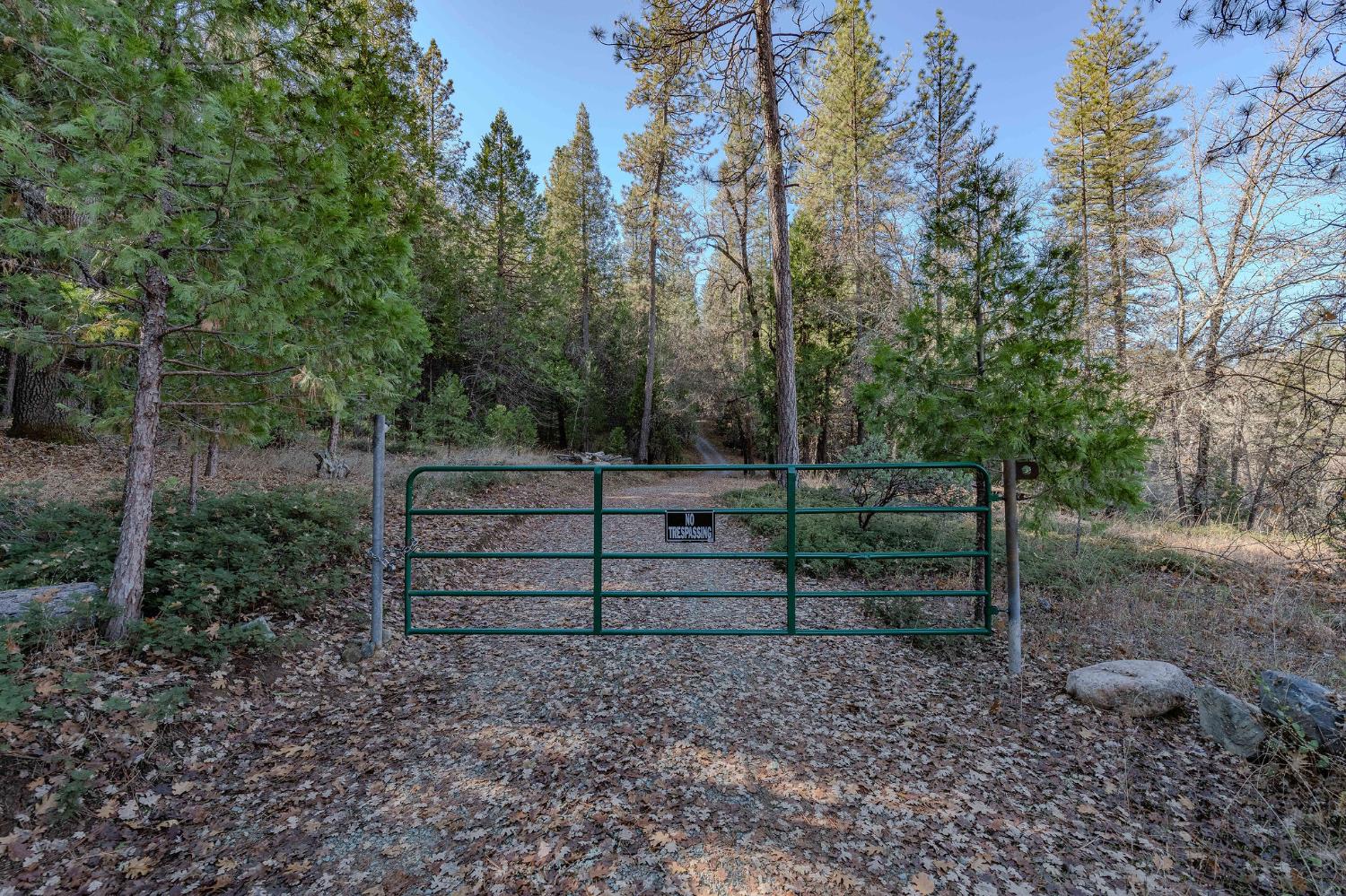 3035 Wharregard Road Rail Road Flat, CA 95245 - Photo 2 of 40