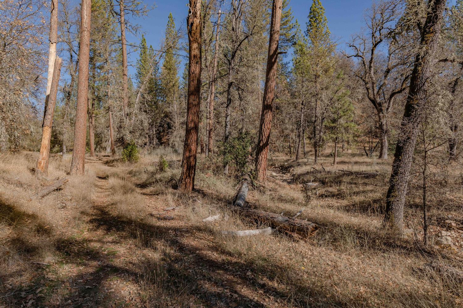 3035 Wharregard Road Rail Road Flat, CA 95245 - Photo 21 of 40