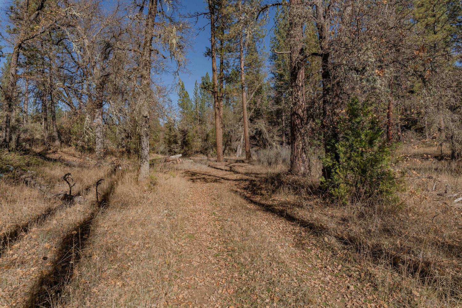3035 Wharregard Road Rail Road Flat, CA 95245 - Photo 22 of 40