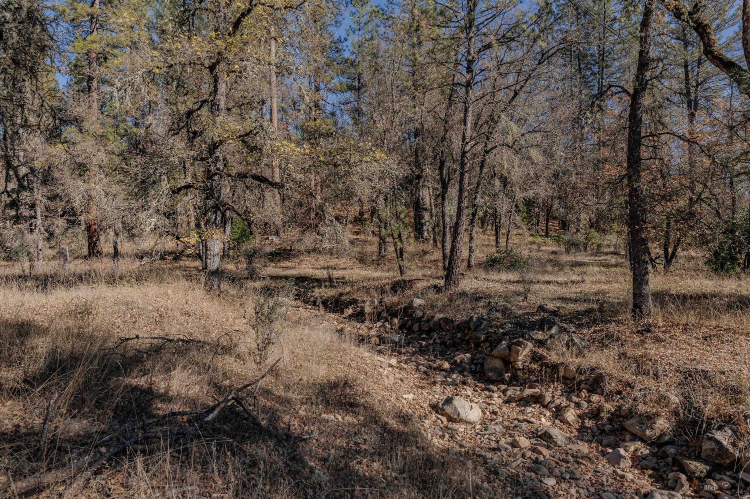 3035 Wharregard Road Rail Road Flat, CA 95245 - Photo 23 of 40