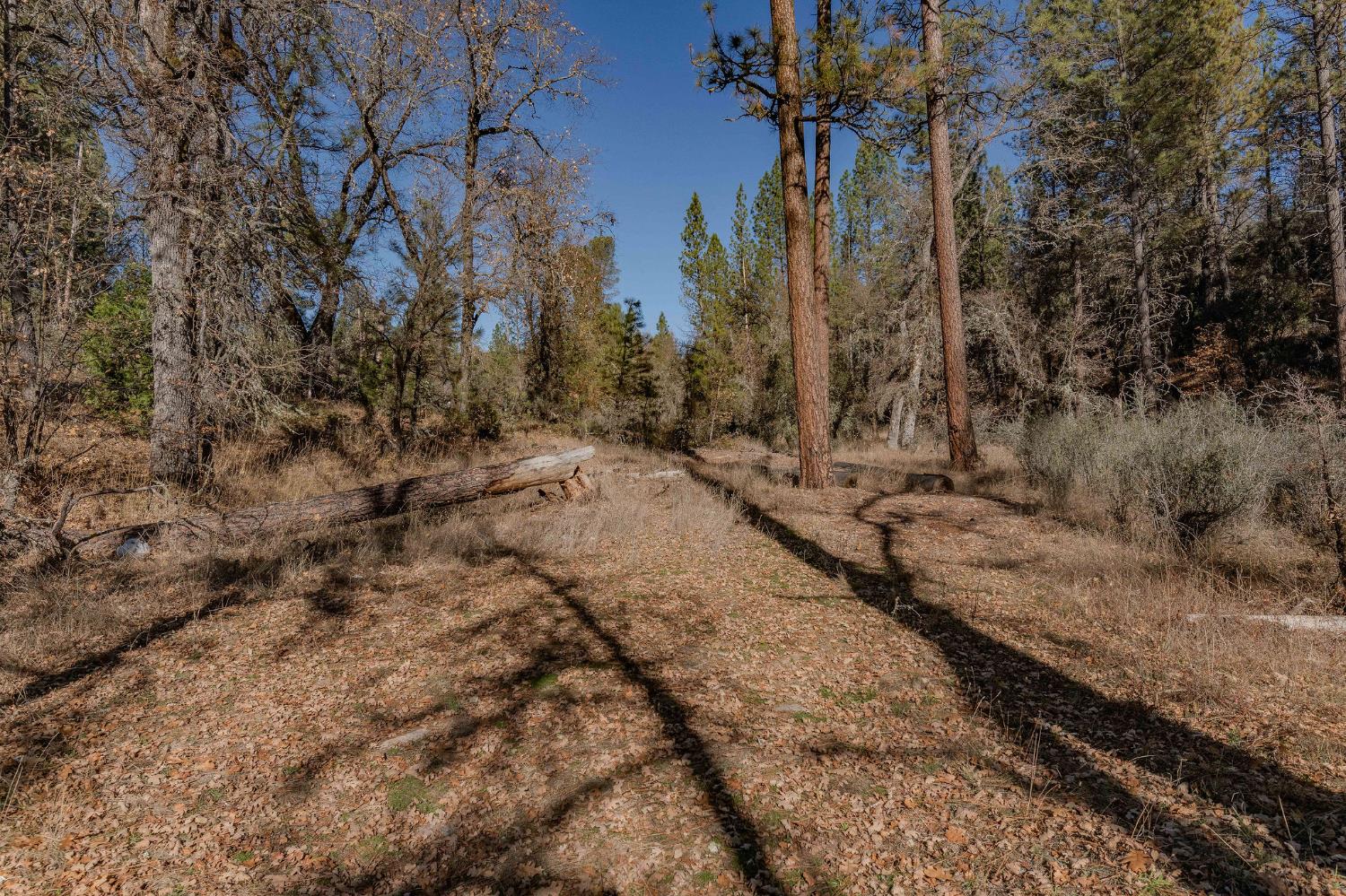 3035 Wharregard Road Rail Road Flat, CA 95245 - Photo 24 of 40