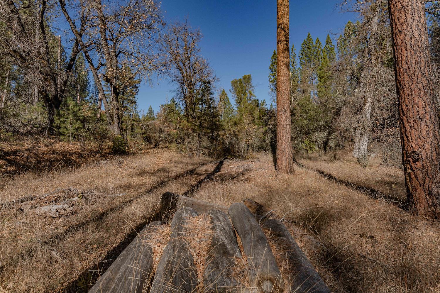 3035 Wharregard Road Rail Road Flat, CA 95245 - Photo 25 of 40
