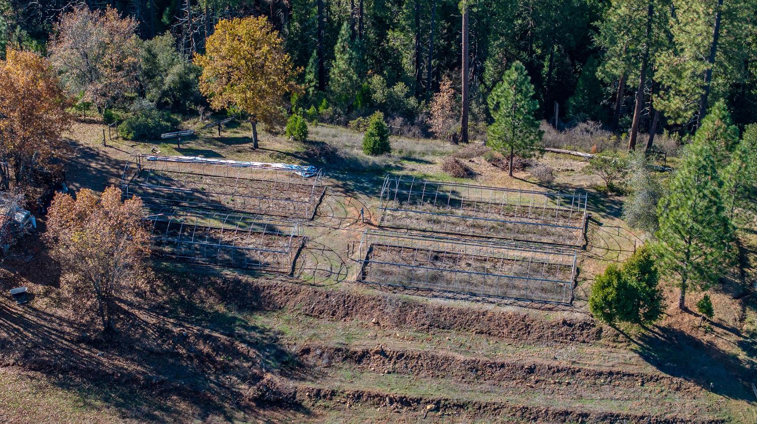 3035 Wharregard Road Rail Road Flat, CA 95245 - Photo 3 of 40