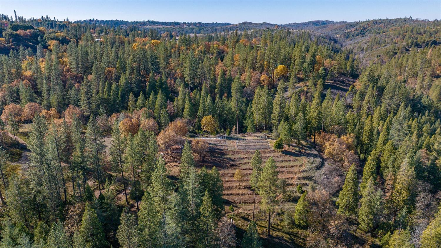 3035 Wharregard Road Rail Road Flat, CA 95245 - Photo 8 of 40