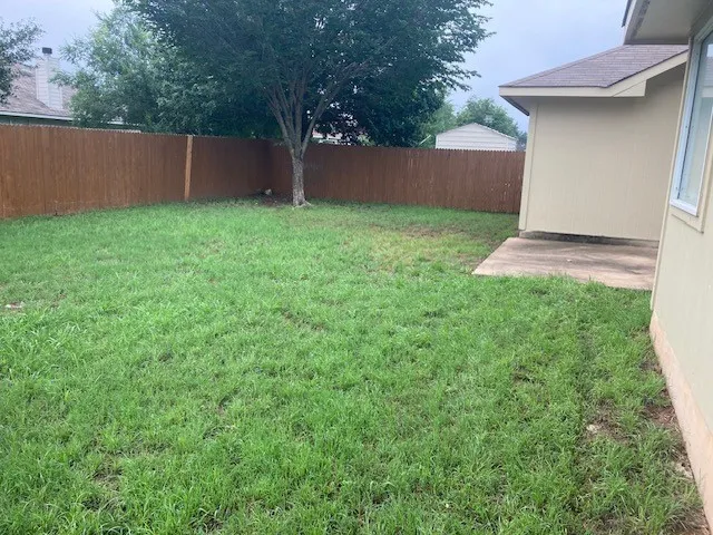 a view of a backyard