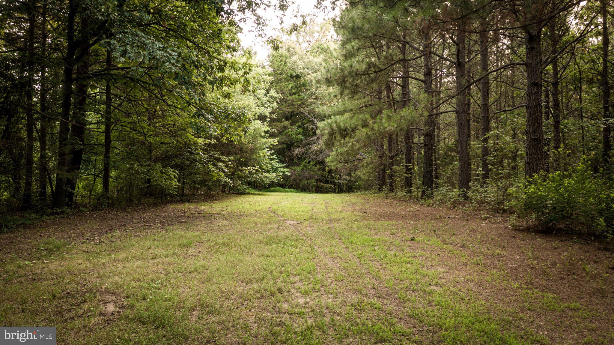 22144 Monrovia Road Orange, VA 22960 - Photo 76 of 94