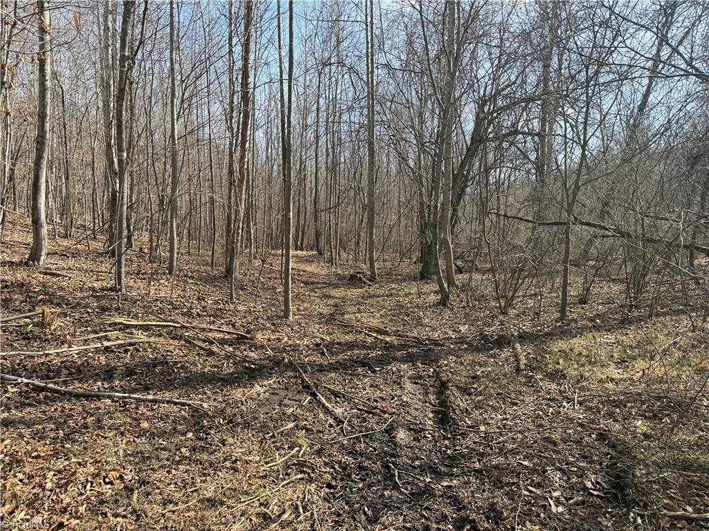 1200 Purcell Road Reidsville, NC 27320 - Photo 44 of 50