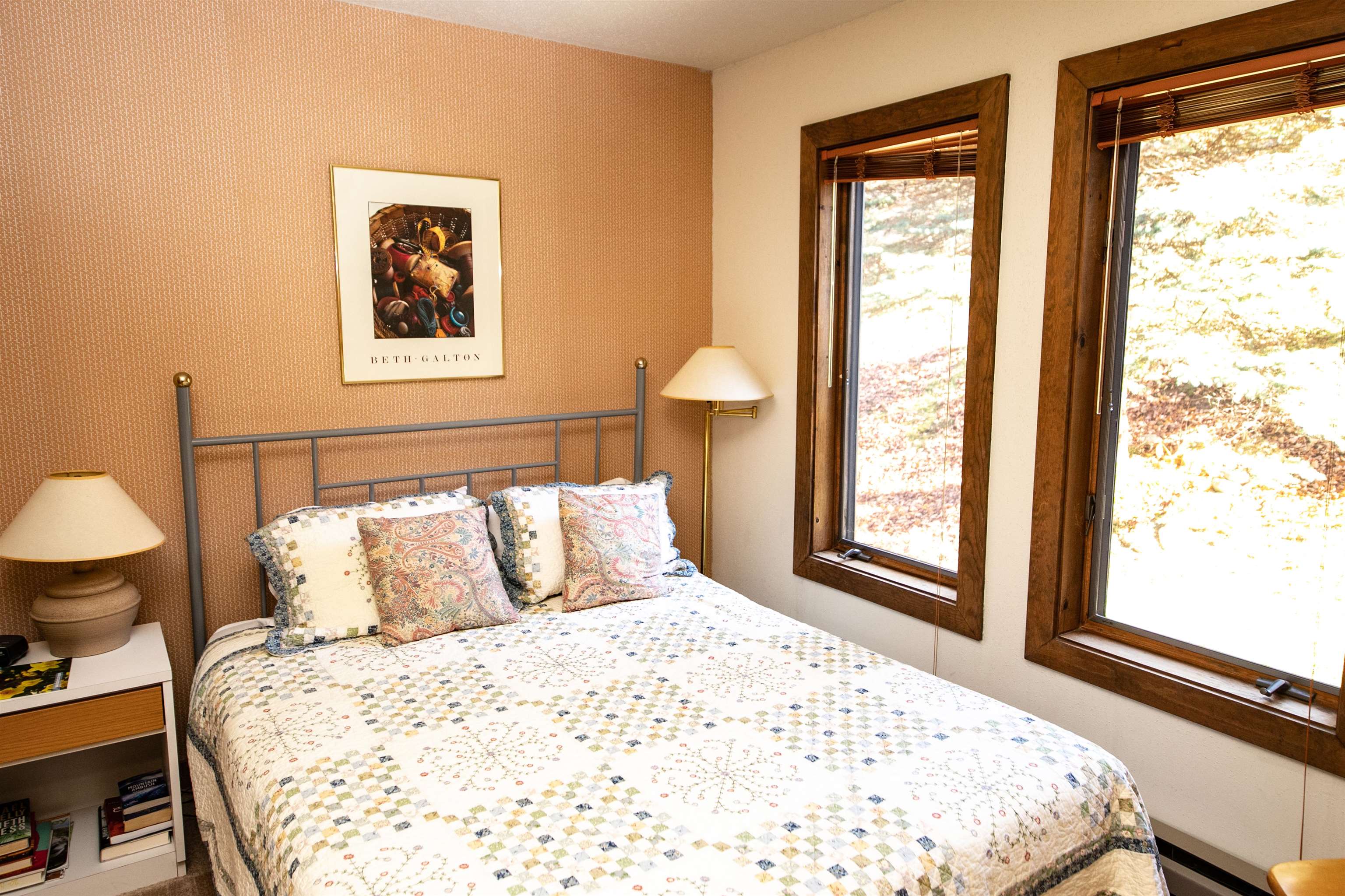 934 East Ash Road, Unit 14 Plymouth, VT 05056 - Photo 12 of 40