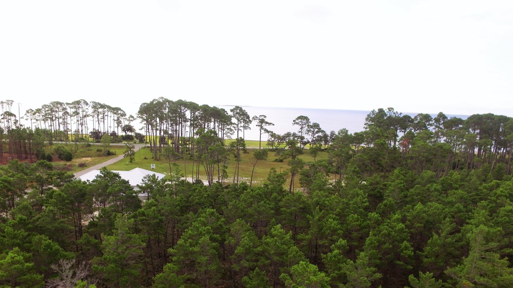 131 Shell Bay Court Carrabelle, FL 32322 - Photo 11 of 15 Gallery Image 11