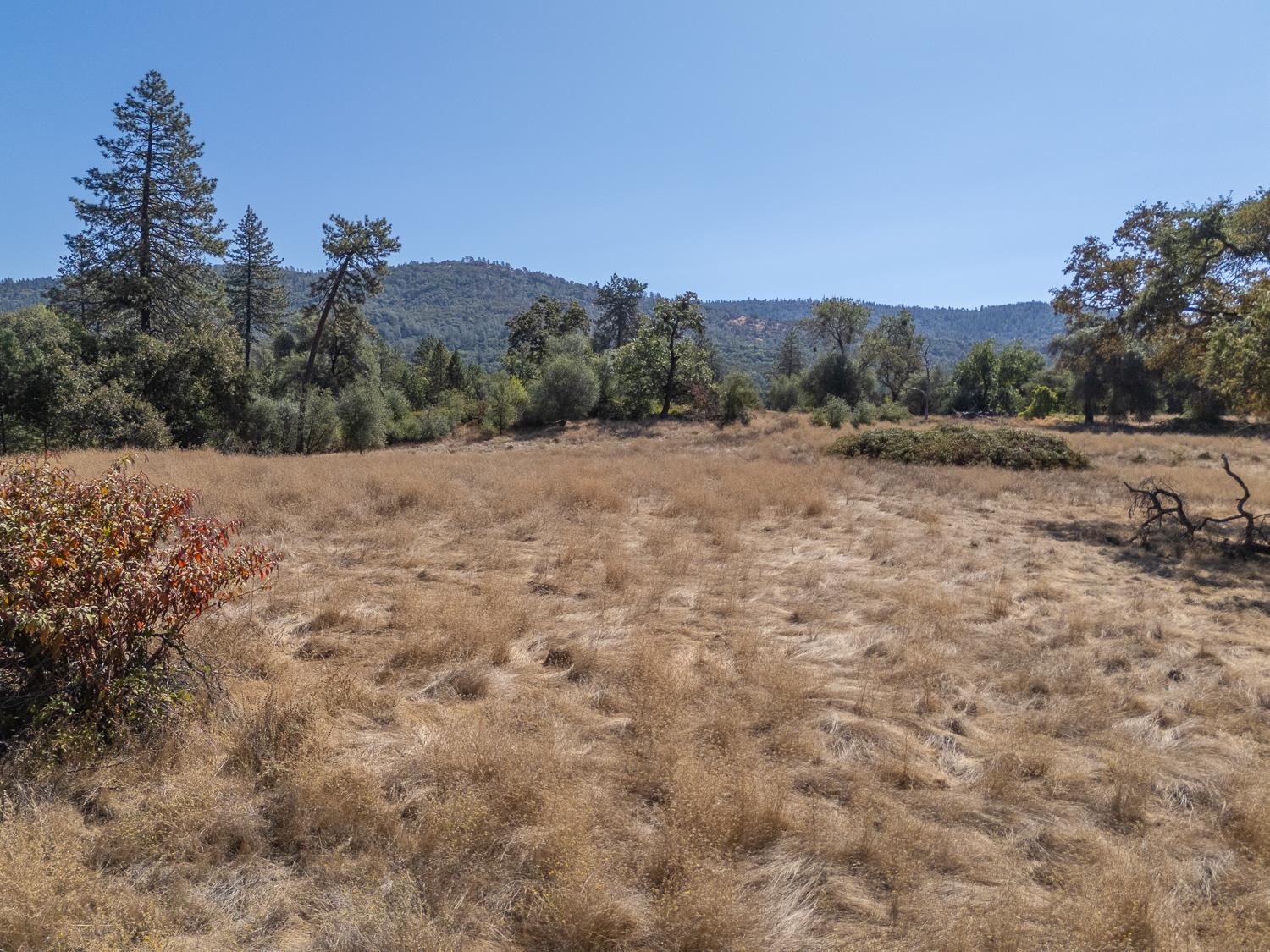 167 Darby Road Bangor, CA 95914 - Photo 72 of 76 Gallery Image 72
