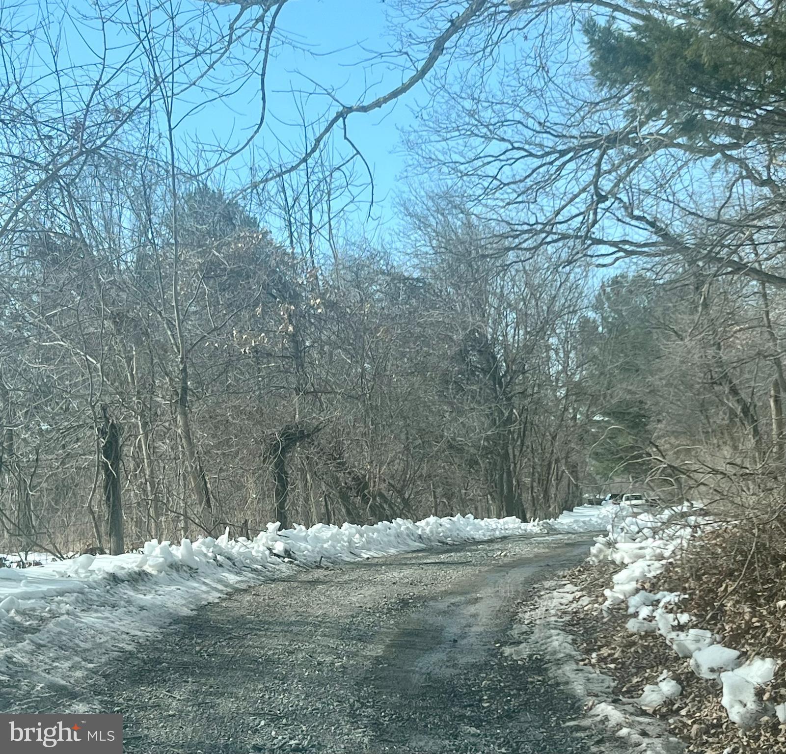 14757 Beamertown Road Purcellville, VA 20132 - Photo 10 of 28 a view of a yard with large trees