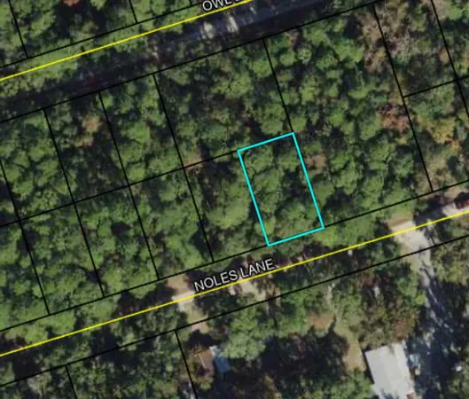 $10,000 | Lot 39 Noles Lane, Unit 1, Crawfordville, FL 32327