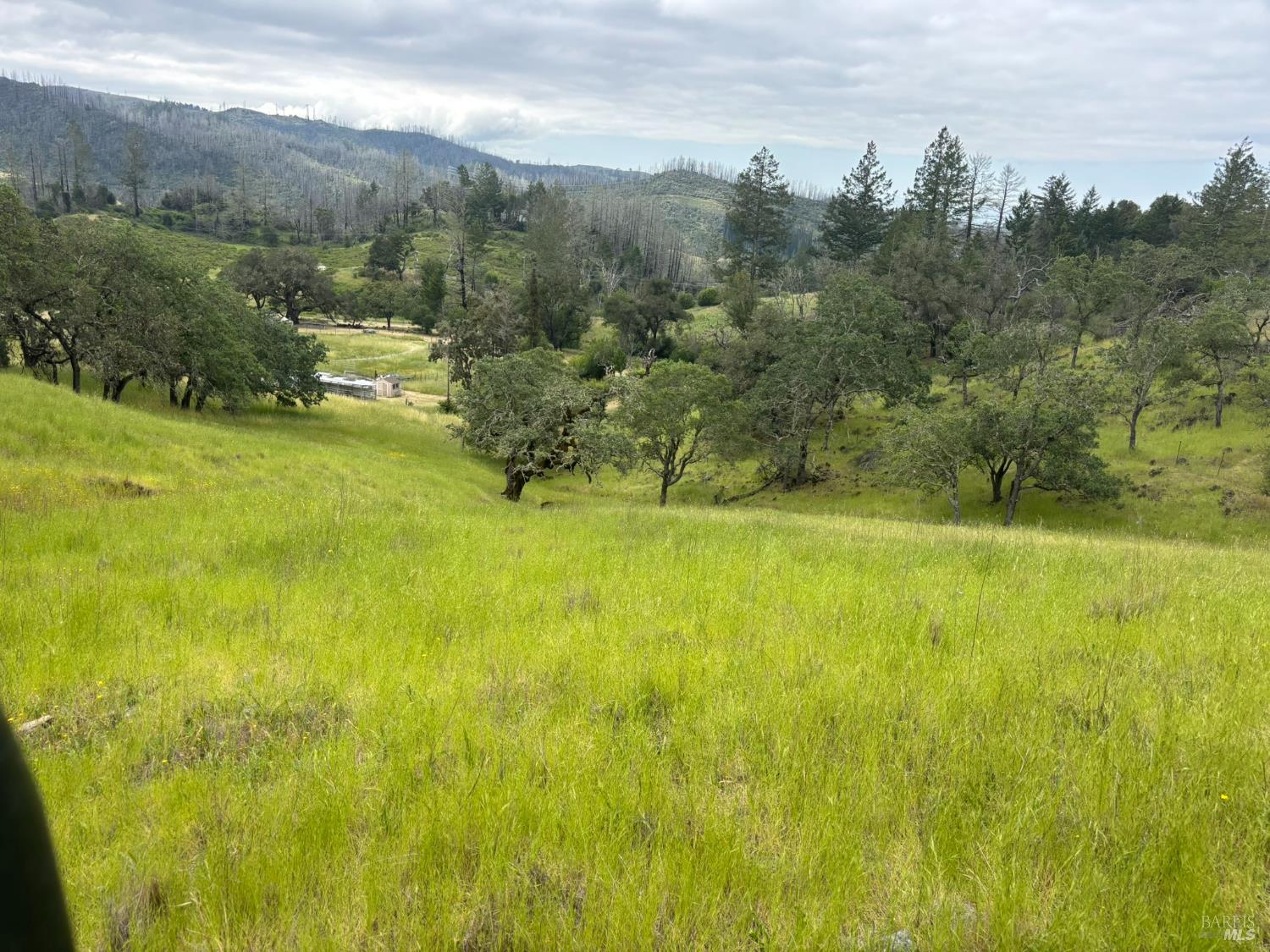 6971 St Helena Road Santa Rosa, CA 95404 - Photo 4 of 34