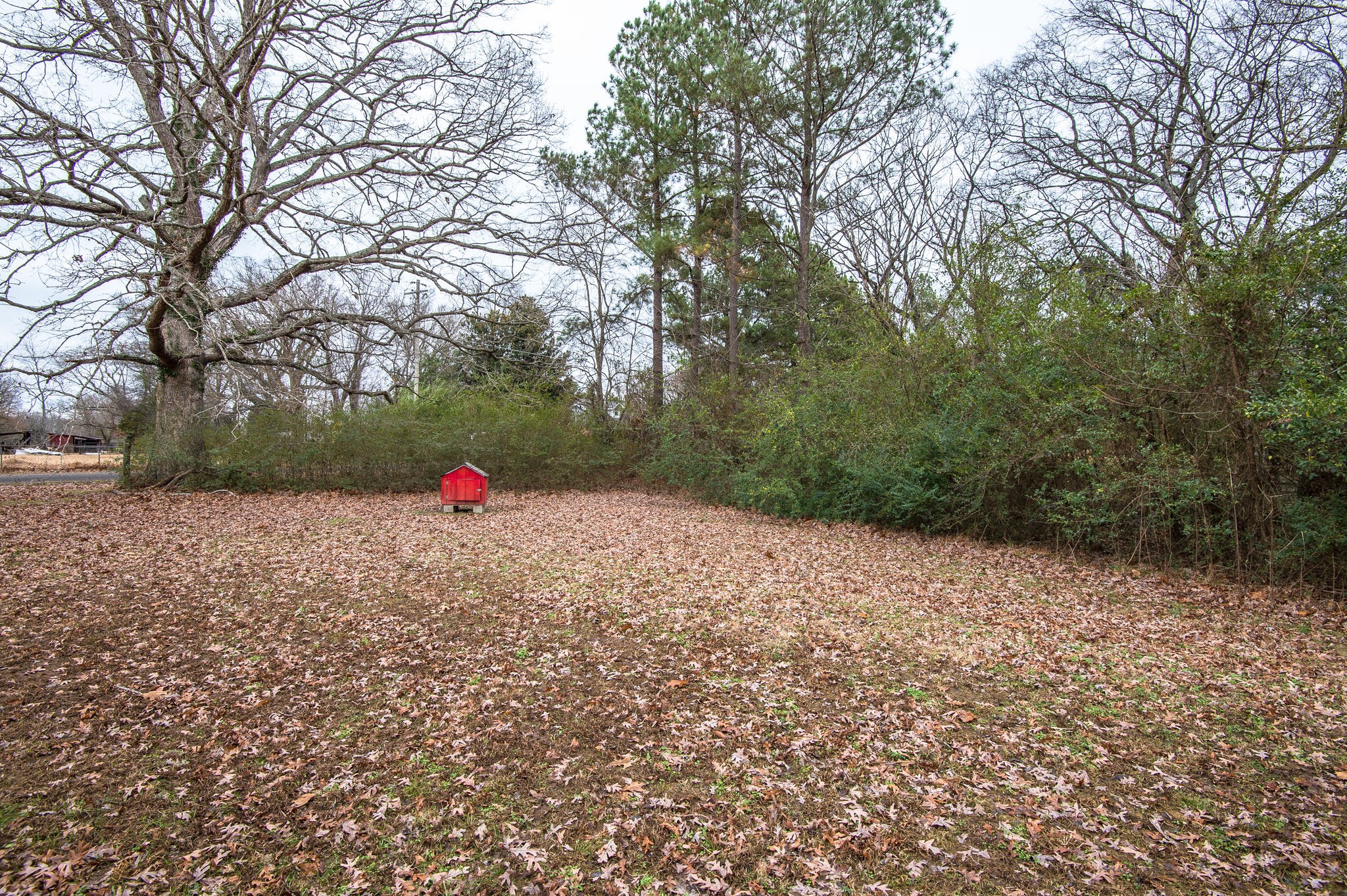 105 Fire Tower Road Dickson, TN 37055 - Photo 23 of 33 Gallery Image 23