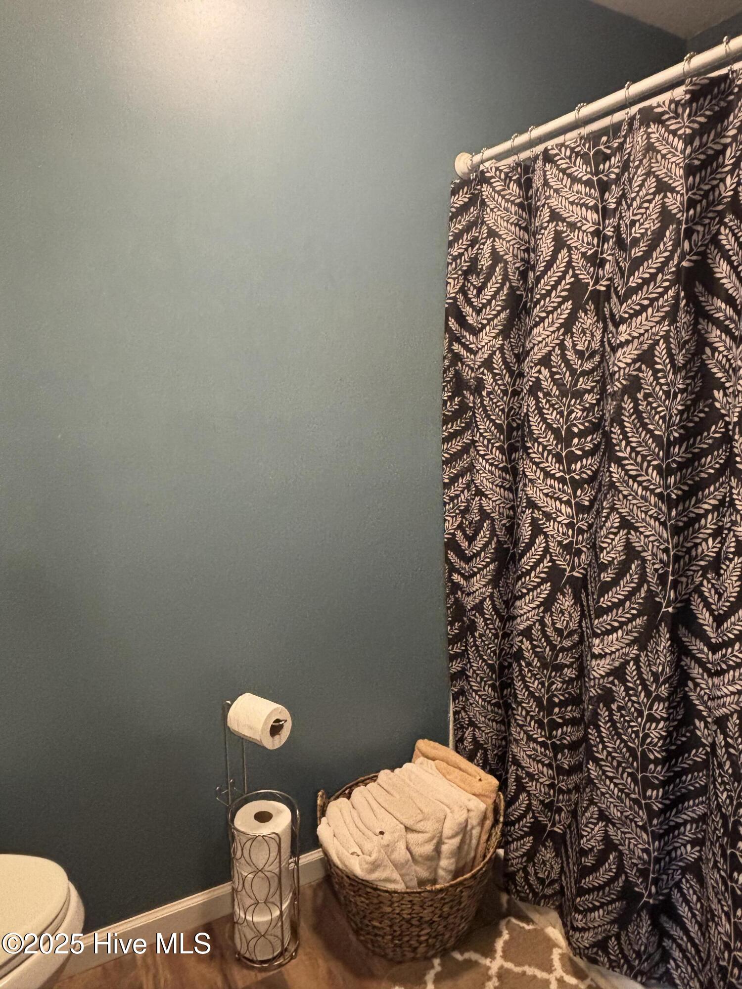 390 Phillips Hill Road Conway, NC 27820 - Photo 22 of 52 Bathroom