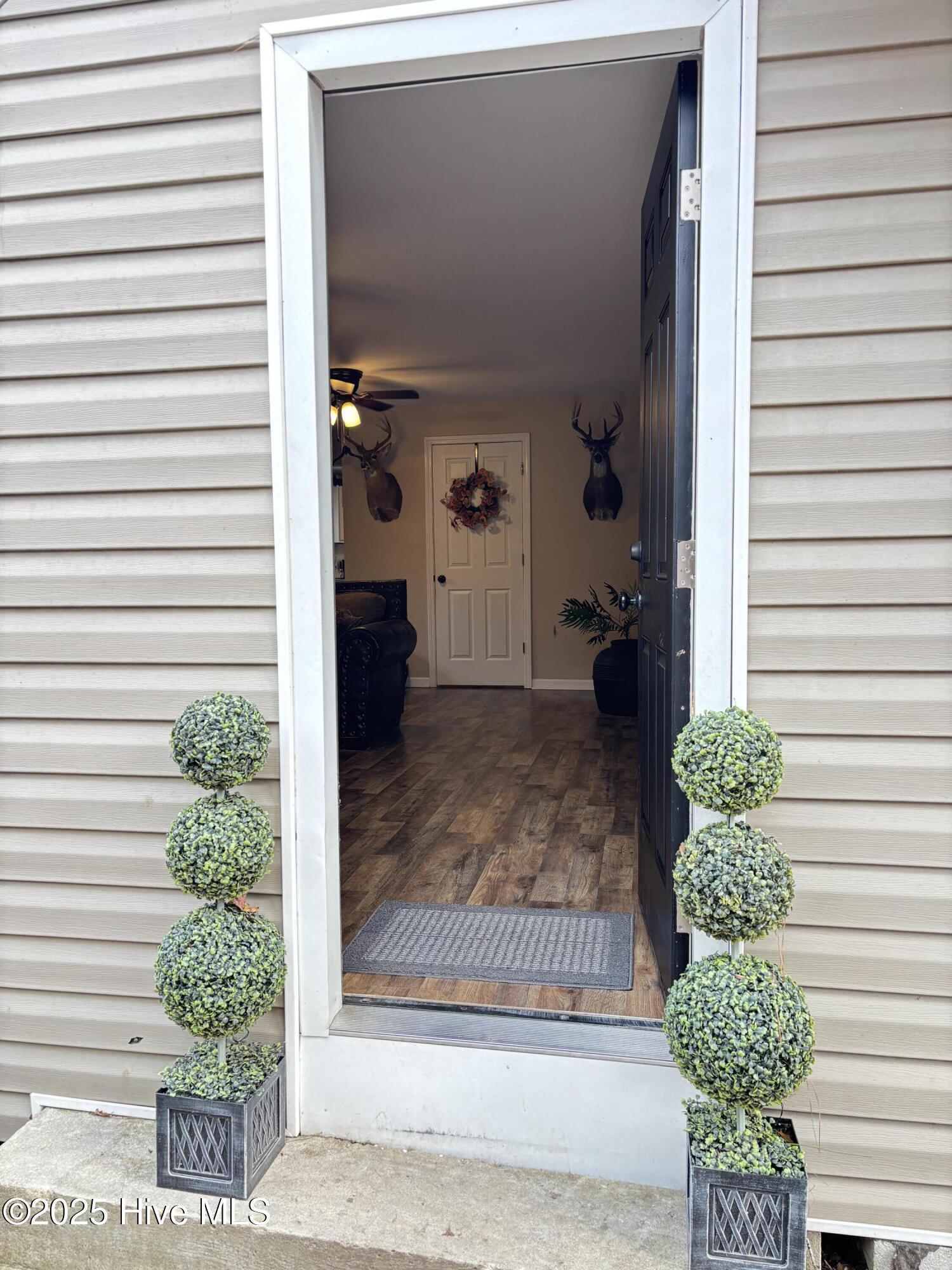 390 Phillips Hill Road Conway, NC 27820 - Photo 22 of 44 the main house from the cookhouse