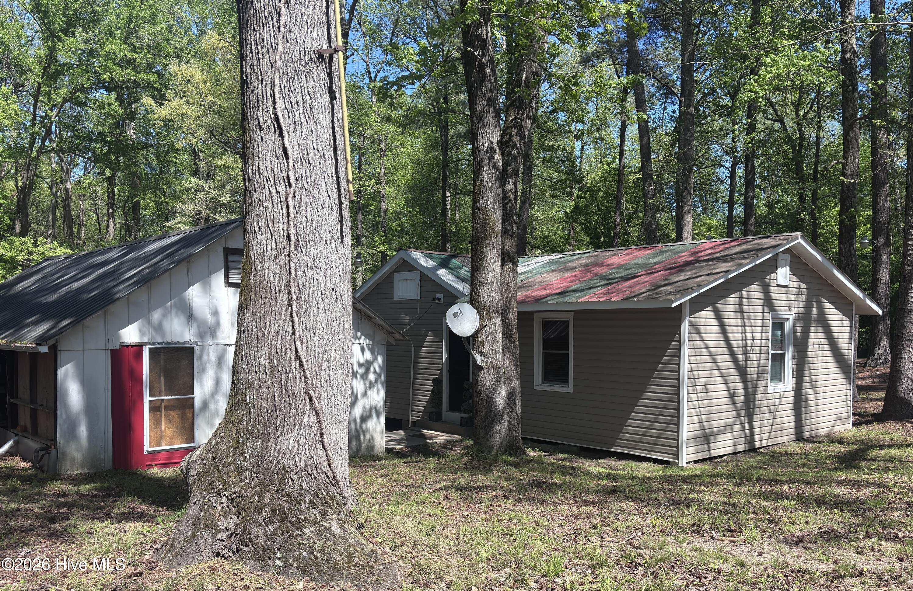 390 Phillips Hill Road Conway, NC 27820 - Photo 36 of 44 IMG_7754