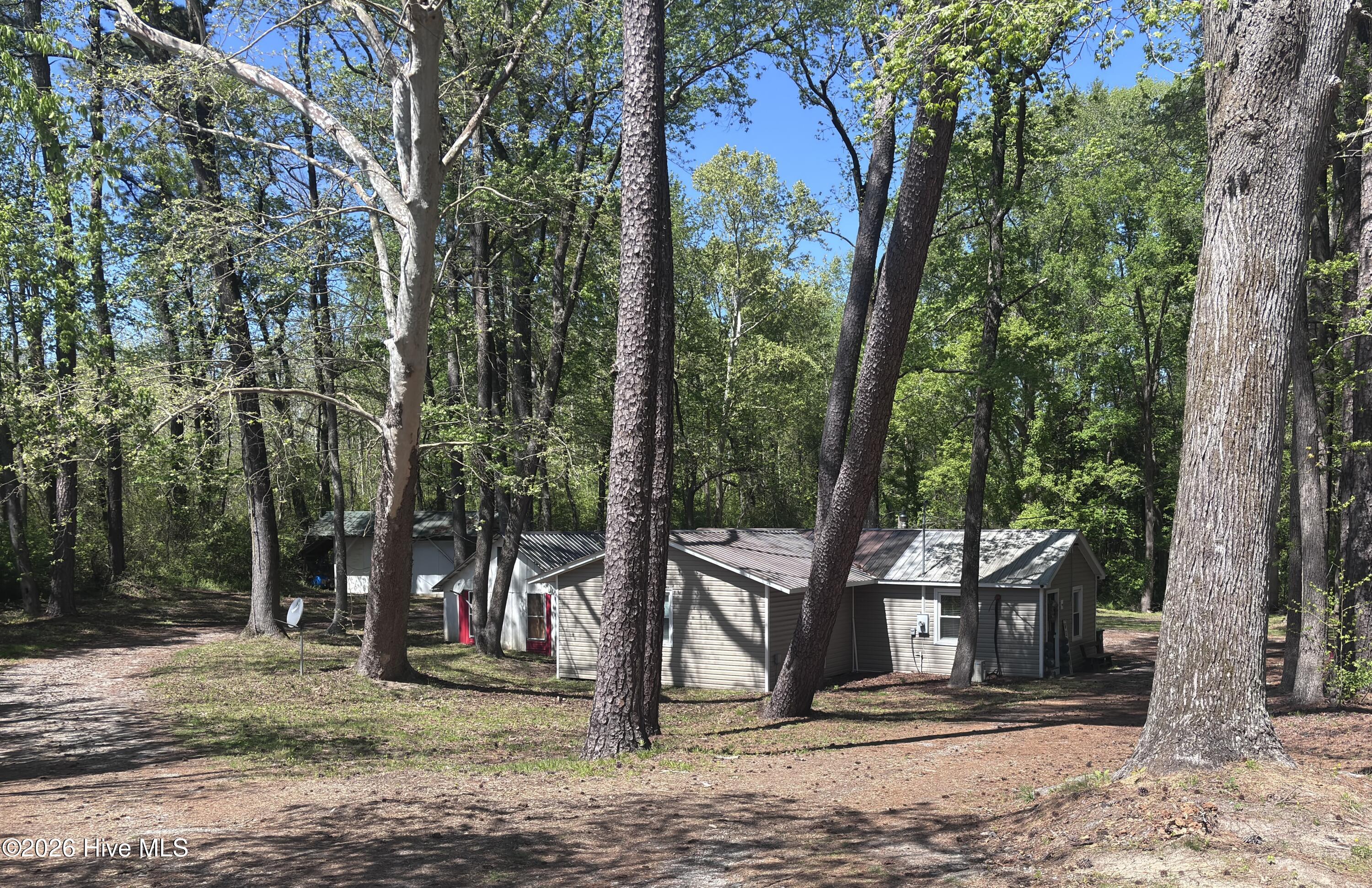390 Phillips Hill Road Conway, NC 27820 - Photo 39 of 44 IMG_7742