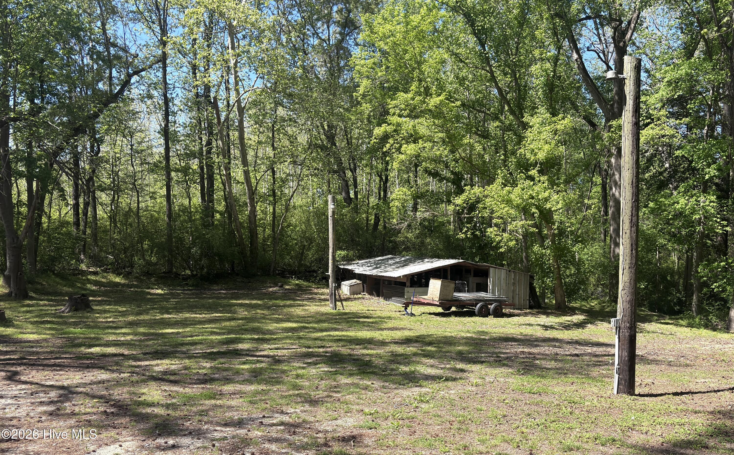 390 Phillips Hill Road Conway, NC 27820 - Photo 40 of 44 IMG_7746