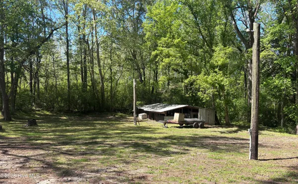 $199,500 | 390 Phillips Hill Road, Conway, NC 27820