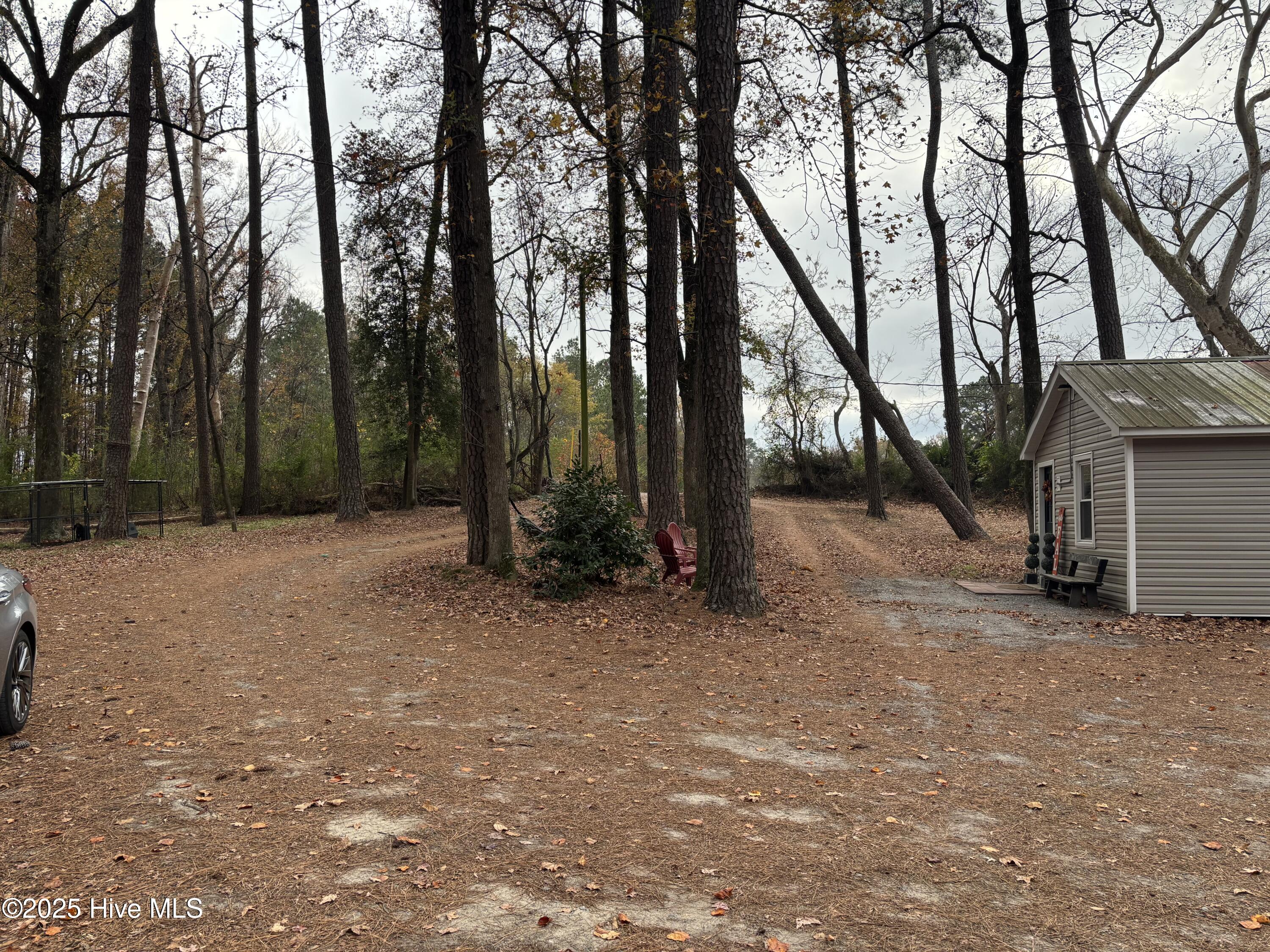 390 Phillips Hill Road Conway, NC 27820 - Photo 44 of 52 IMG_5637