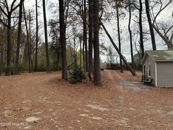 $199,500 | 390 Phillips Hill Road, Conway, NC 27820