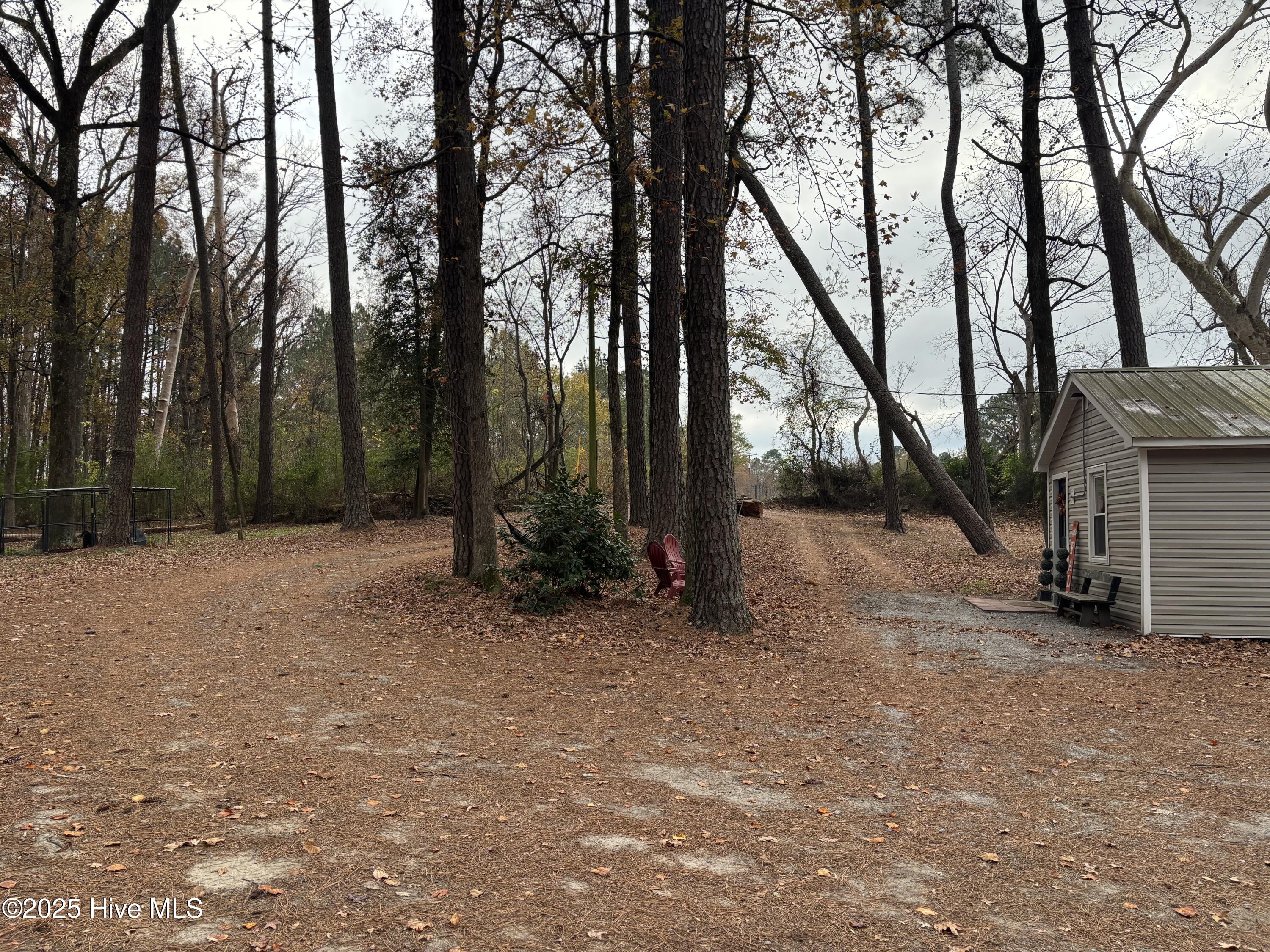 390 Phillips Hill Road Conway, NC 27820 - Photo 46 of 52 IMG_5638