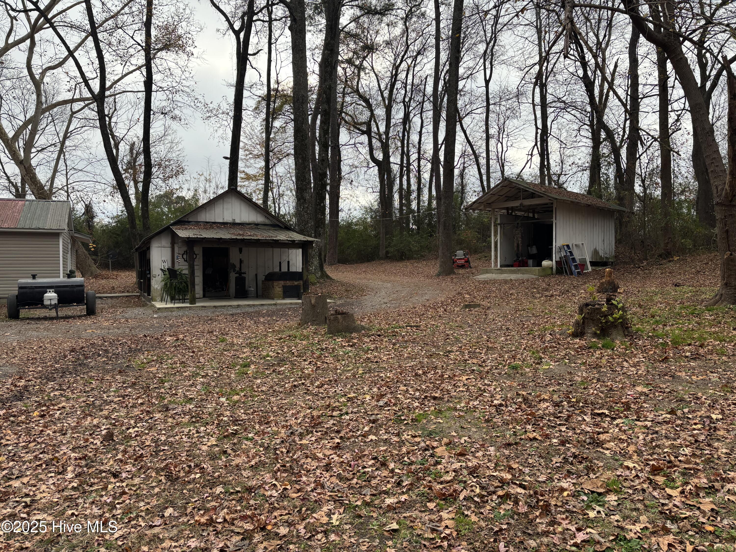 390 Phillips Hill Road Conway, NC 27820 - Photo 48 of 52 IMG_5641