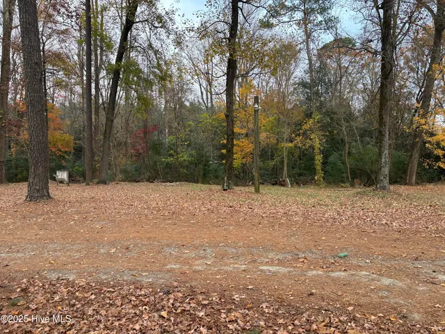 $199,500 | 390 Phillips Hill Road, Conway, NC 27820