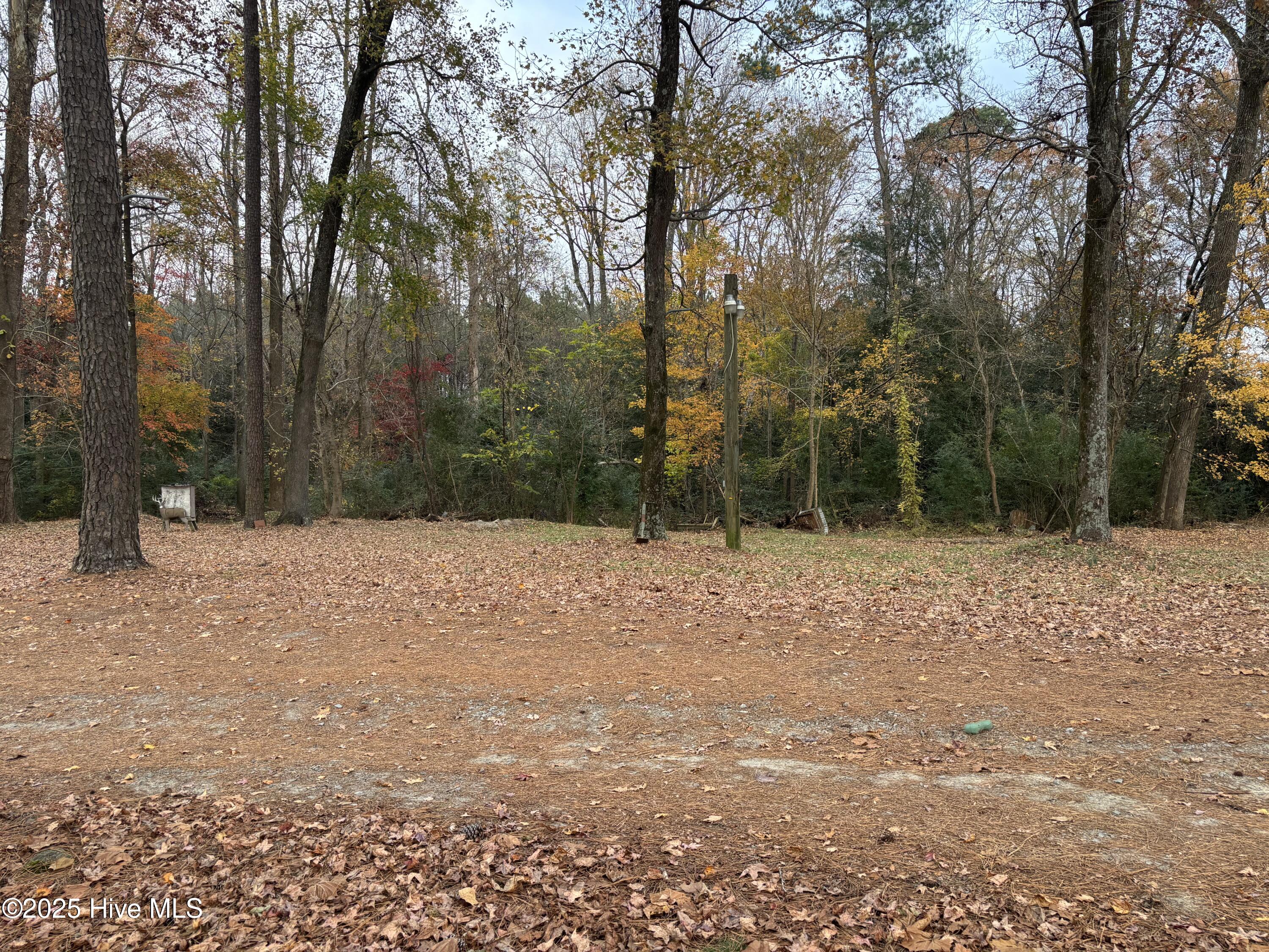 390 Phillips Hill Road Conway, NC 27820 - Photo 52 of 52 IMG_5696