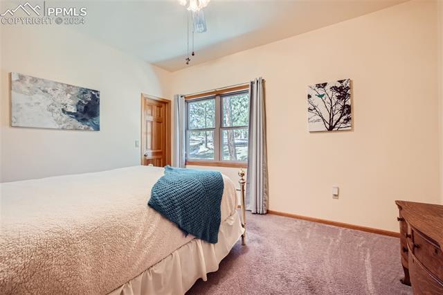 3715 Range View Road Monument, CO 80132 - Photo 20 of 49 Bedroom on main floor with a walk-in closet.