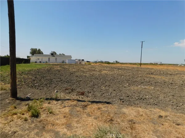 a view of a dry yard with wooden fence