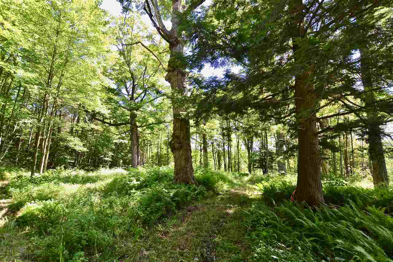 Lot 9 Guptil Road, Unit 9 Waterbury Center, VT 05677 - Photo 11 of 12 Gallery Image 11