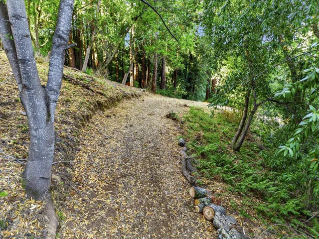 a big yard with flowing stream of water in middle