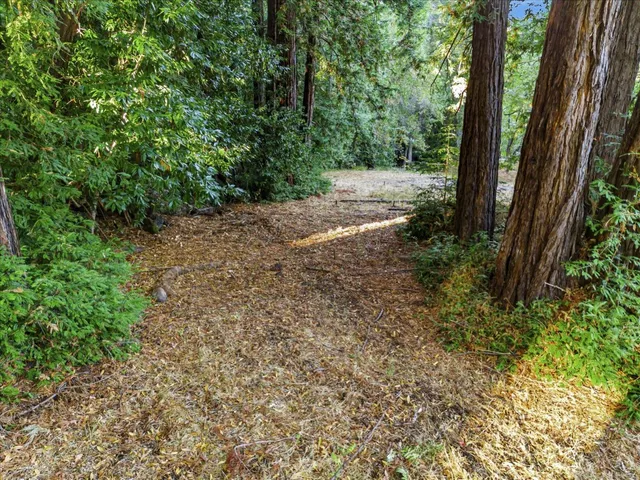 a view of a yard with a tree