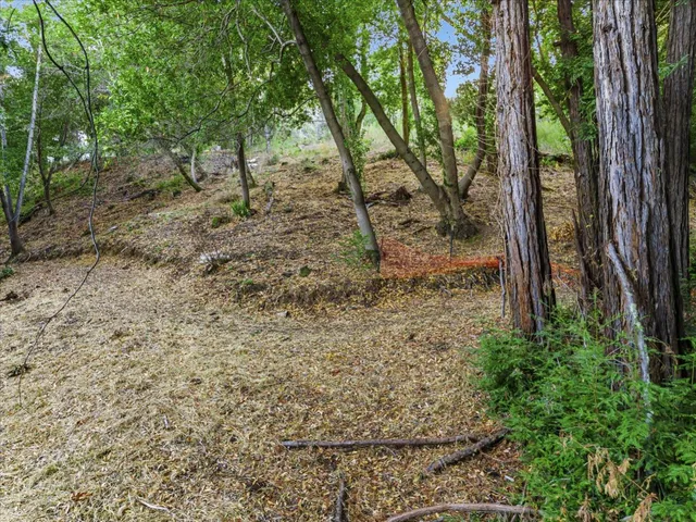a view of a yard with a tree