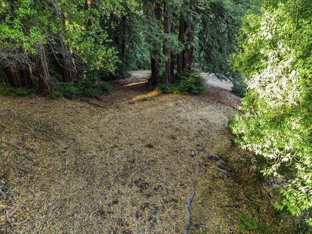 a view of a pathway both side of yard