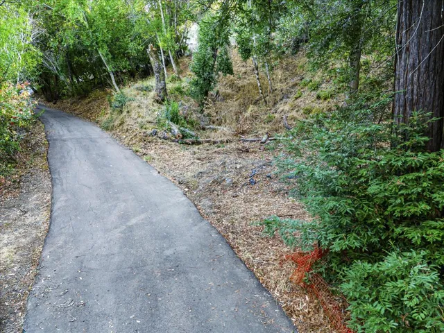 a view of a garden with plants and a bench
