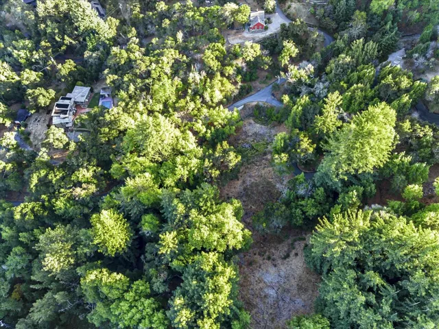 a picture of flowers