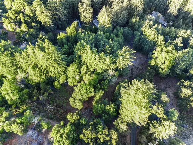 a backyard of a house with lots of plants and trees