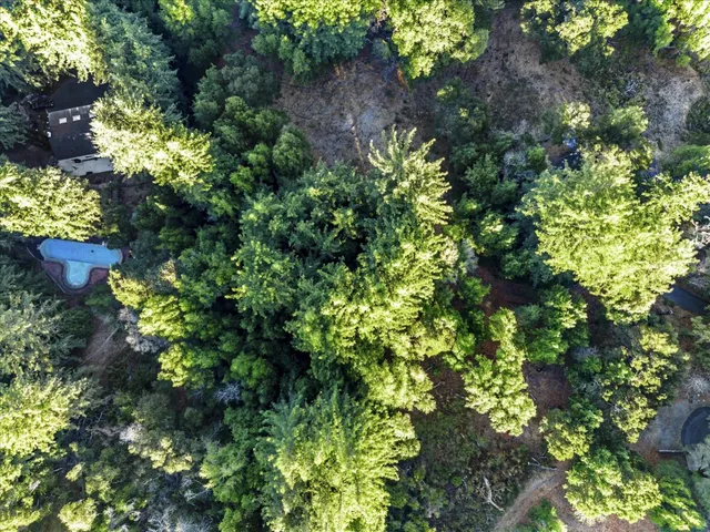 a picture of flowers